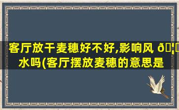 客厅放干麦穗好不好,影响风 🦁 水吗(客厅摆放麦穗的意思是 💐 什么)
